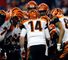 The Cincinnati Bengals and the Houston Texans met for the second successive year in the opening round.