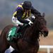 ...O'Faolains Boy makes a winning hurdling debut for AP McCoy