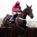 Sprinter Sacre was awesome again in the Victor Chandler Chase