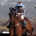 Vino Gregio hosed up under Jamie Moore