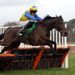Amigo lands the handicap hurdle for the David Pipe team