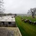They're off for the opener at Plumpton on Sunday