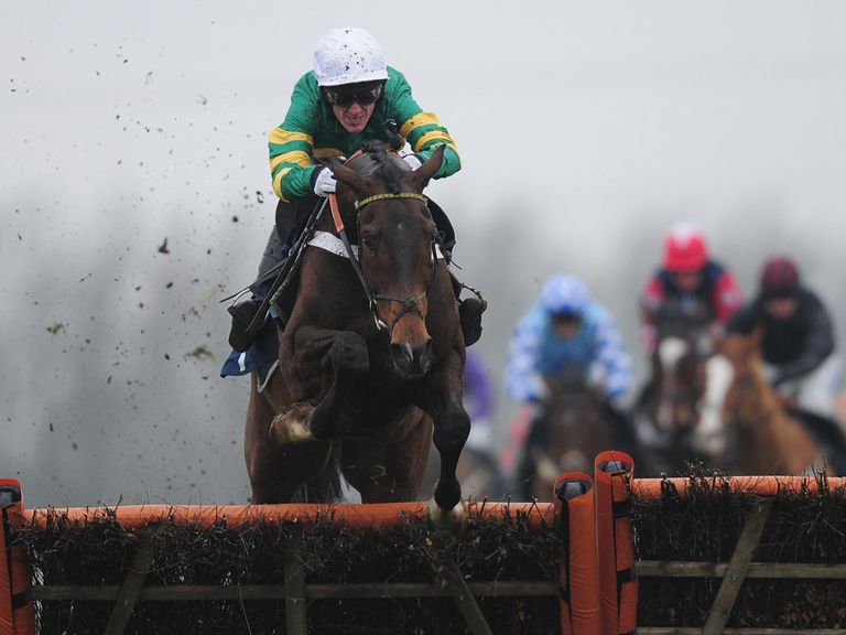My Tent Or Yours: Favourite for the Betfair Hurdle