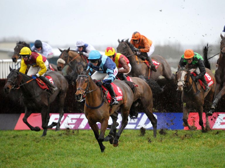 Pete The Feat: Will be entered in Warwick feature