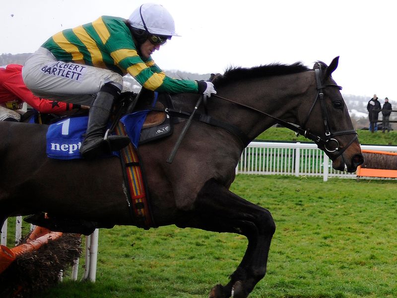 At Fishers Cross got the better of The New One