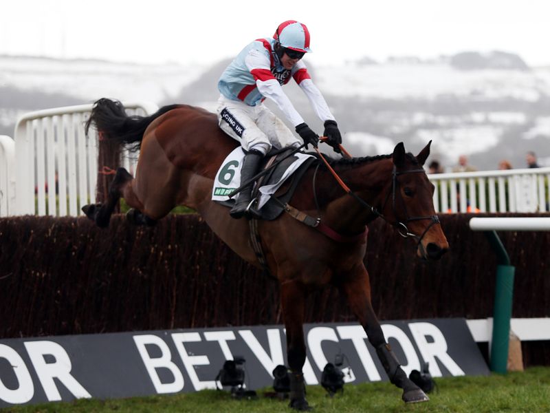 Katenko was an easy winner of the Murphy Group Chase