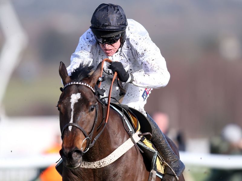 Rolling Star was impressive in the Triumph Hurdle Trial