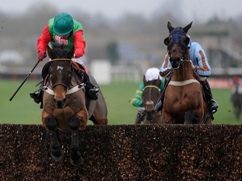 Salden Licht wins the novice chase for Robert Thornton and Alan King