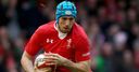 Tipuric cool over selection