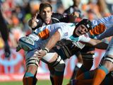 Live photo