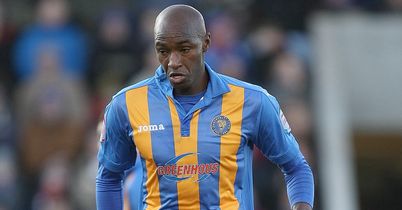 Greenhous: Proud sponsor of Shrews