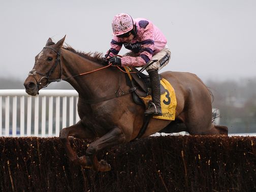 Silviniaco Conti: Into 6/1 for the Cheltenham Gold Cup