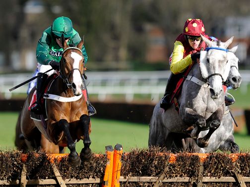 Utopie Des Bordes (left): Albert Bartlett contender?