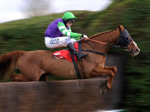 Dashing George runs his rivals ragged&nbsp;