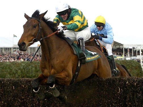 Like-A-Butterfly: First foal did her proud