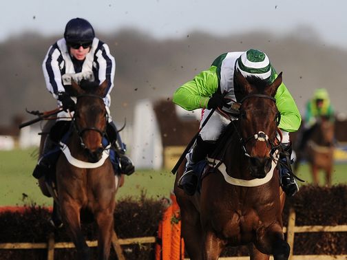 Rock On Ruby (right): Can defend his Champion Hurdle crown