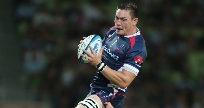 Gareth Delve: Leading role against Lions