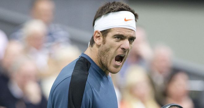 Can Del Potro get back to the top?