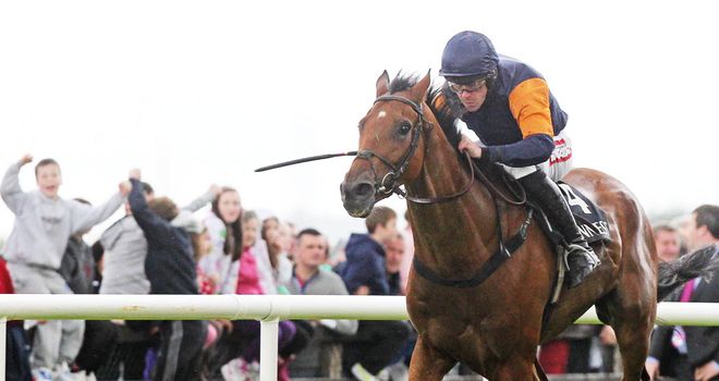 Rebel Fitz: Won again at Tipperary