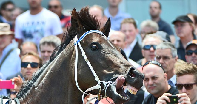 Black Caviar: Set to return on Saturday