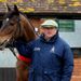 Champion Hurdle hope Zarkandar