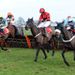 Across The Bay (right) earned a hard-fought victory in the Rendlesham