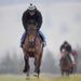 ...but Imperial Commander leads them up the gallops