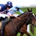 Kuilsriver (near side) just holds on from Sadler's Risk in the handicap hurdle at Ascot