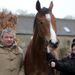 African Gold carries plenty of stable confidence into the Albert Bartlett...