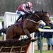 Only Orsenfoolsies burst some bubbles when winning the Victor Ludorum at Haydock