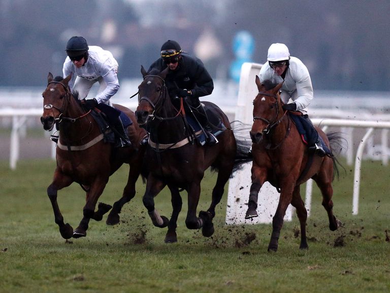 Bobs Worth, Long Run and Binocular in a spin after racing