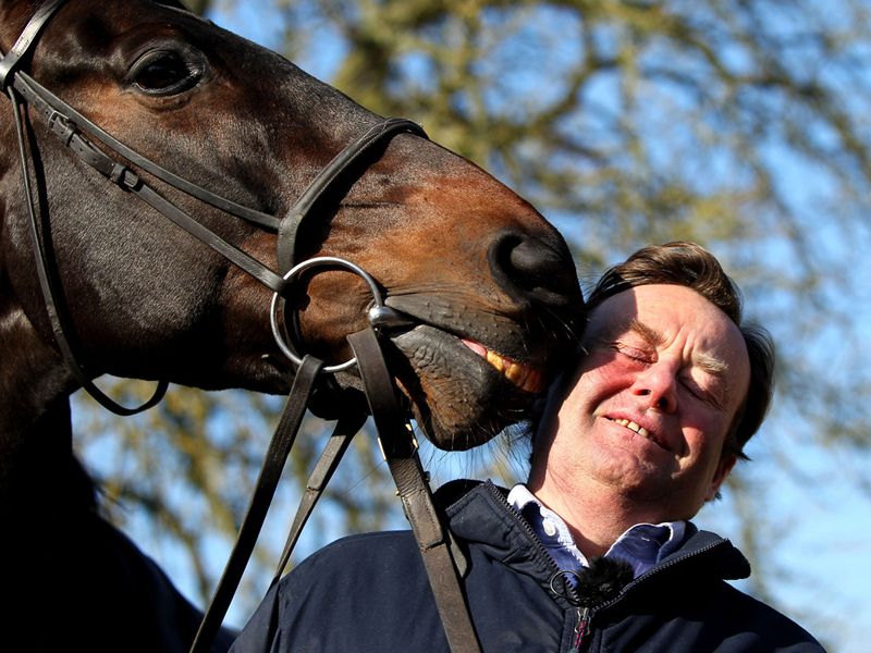 Sprinter Sacre is the apple of Nicky Henderson's eye ...