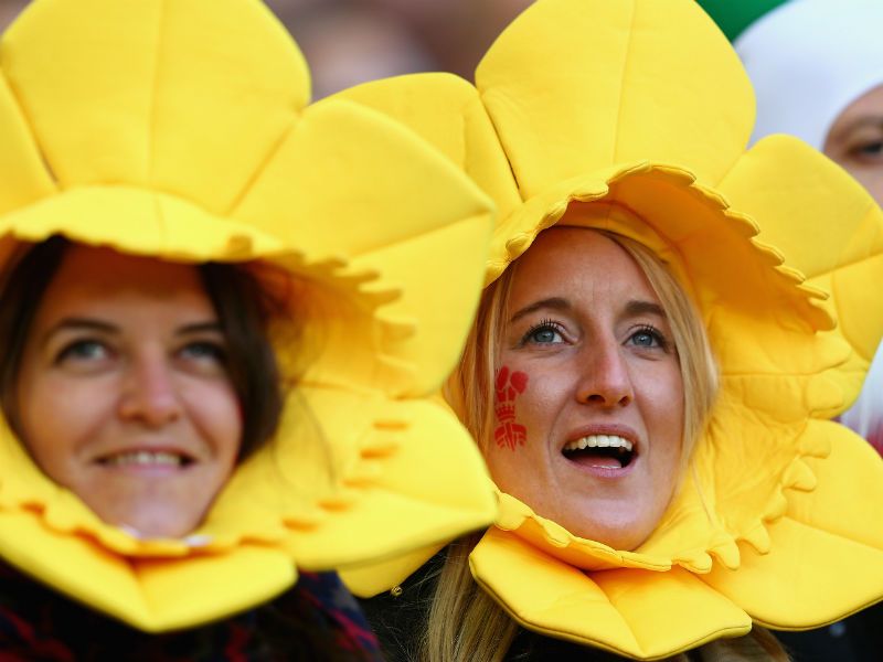 Blooming marvellous! Wales fans look on prior to the RBS Six Nations opener
