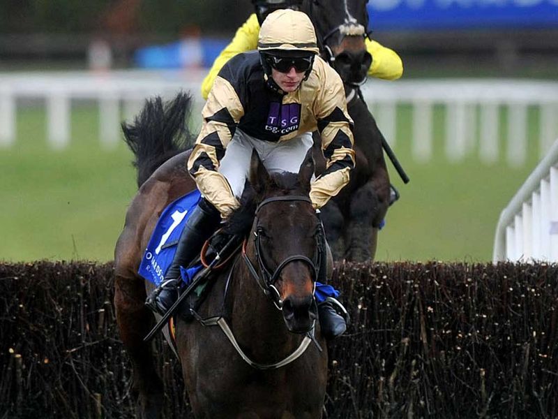 Boston Bob: Just got up to beat Texas Jack at Leopardstown