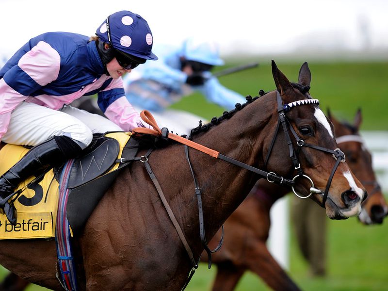 Kuilsriver (near side) just holds on from Sadler's Risk in the handicap hurdle at Ascot
