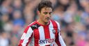 Saunders agrees new Bees deal 