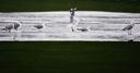 Rain frustrates Holland again