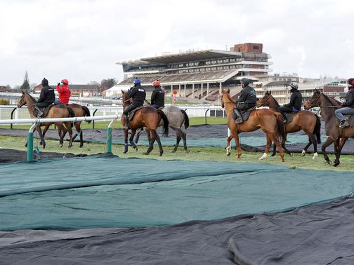 Cheltenham is on