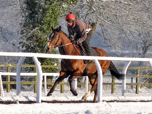 Heaven's Guest - one of the Friday runners. (Pic: Sal Smithson - www.richardfahey.com)