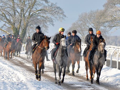 Returning to the yard after the gallops (Pic: Sal Smithson - www.richardfahey.com)&nbsp;