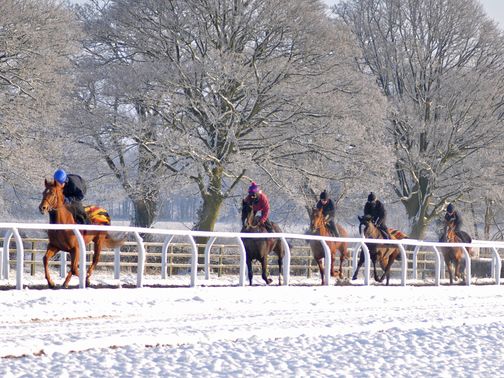 The cold snap hasn't stopped the work (Pic: Sal Smithson - www.richardfahey.com)&nbsp;