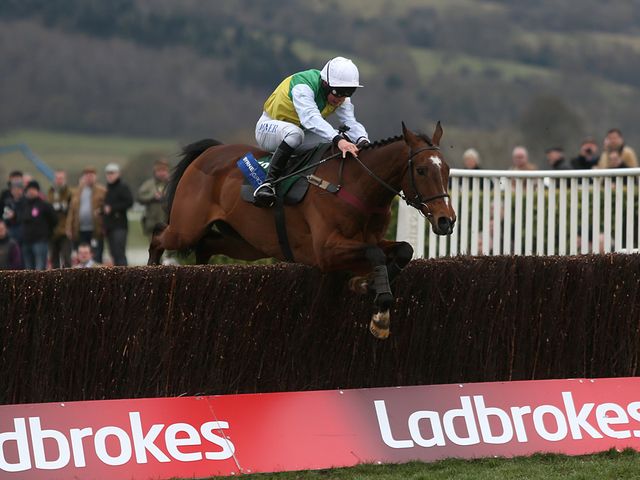 Carrickboy on his way to springing a 50/1 surprise