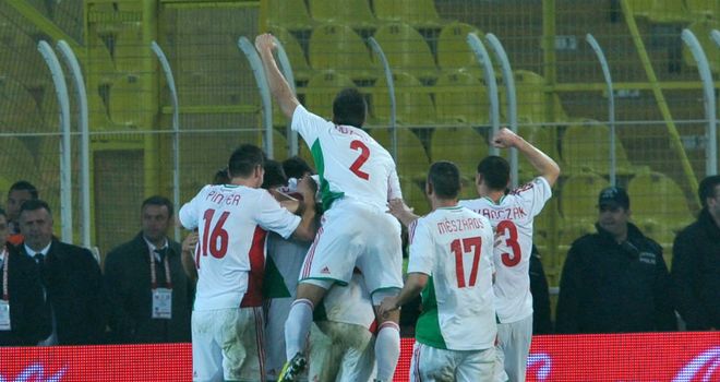 Goal joy: Hungary's Daniel Bode (unseen) is congratulated by teammates after his equaliser against Turkey