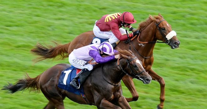 Harvard N Yale (far side) goes down fighting in the Haynes Hanson and Clark Stakes.