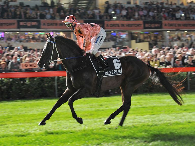 Black Caviar in winning action at Moonee Valley