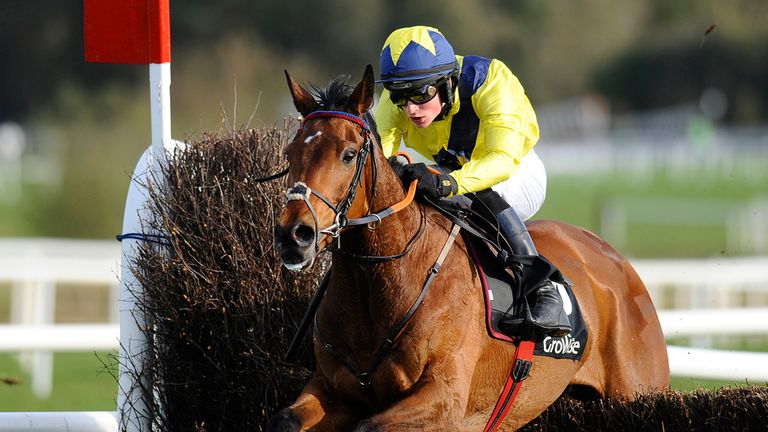 Mount Belbulben: Set to go back over hurdles at Cheltenham