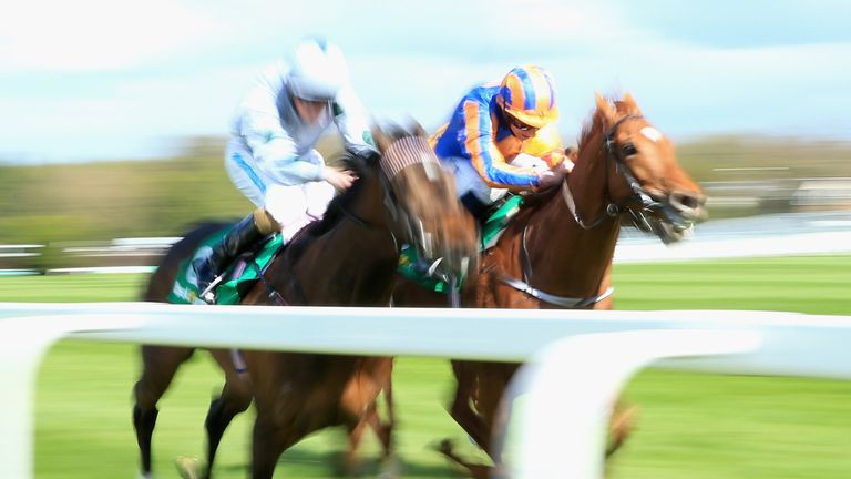 Eye Of The Storm (right): Victorious at Leopardstown.