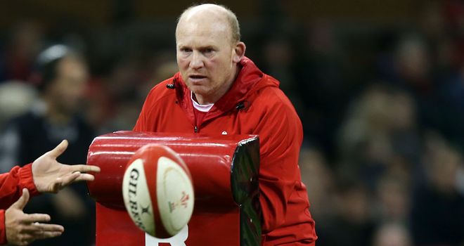 Neil Jenkins: Has been working as kicking coach for Wales