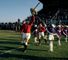 Lions Legends XV