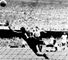 Brazil goalkeeper Barbosa was blamed for Brazil's bottle job in 1950 and ended his days penniless and shunned